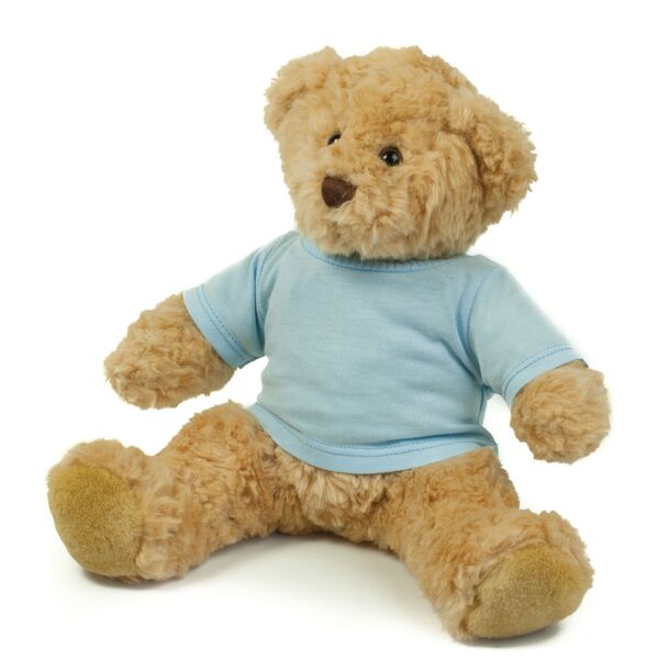 Mumbles Teddy T-Shirt Thumbnail