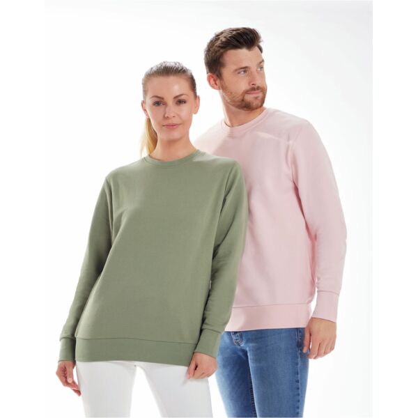 The Sweatshirt Thumbnail