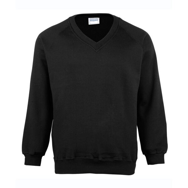 Coloursure™ v-neck sweatshirt Thumbnail